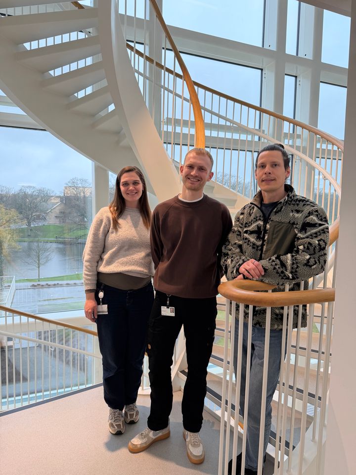 Lektor Tue Wenzel Kragstrup (yderst til højre), står sammen med ph.d.-studerende Amalie Broksø og Mads Brüner bag studiet, som peger på, at medicin med GLP-1 muligvis kan bruges mod gigtsygdomme.