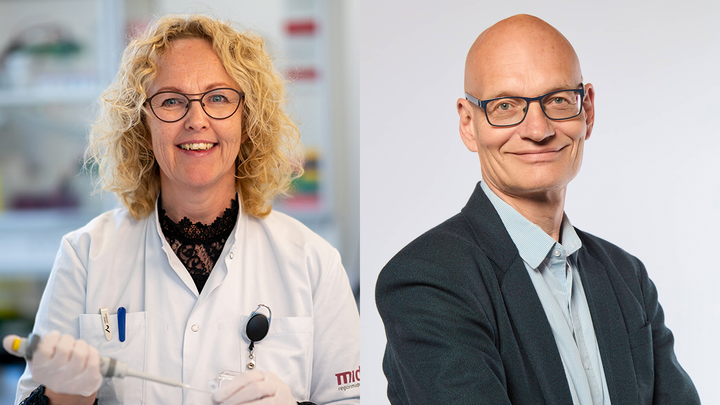 Professorerne Rikke Nørregaard og Henrik Birn leder den aarhusianske del af det nye europæiske forskningskonsortium KidMED-CKM.