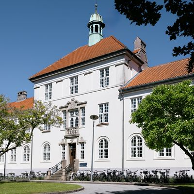 Description of the image