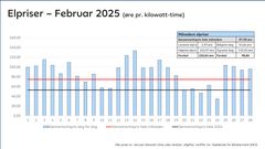 Elpriser februar 2025