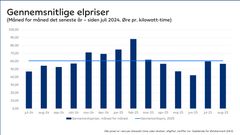 Seneste års elpriser