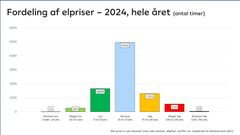 Fordeling af elpriser 2024 (hele året)