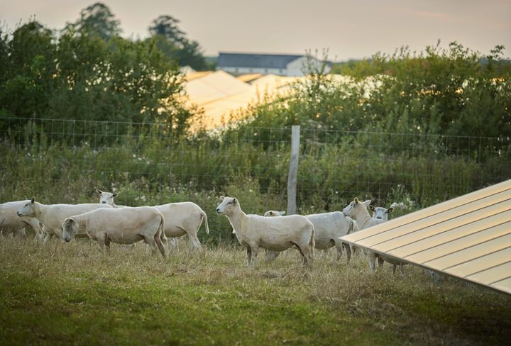 Trods mange timer med billig strøm fra solenergi, har maj måned været en dyr en måned årstiden taget i betragtning.