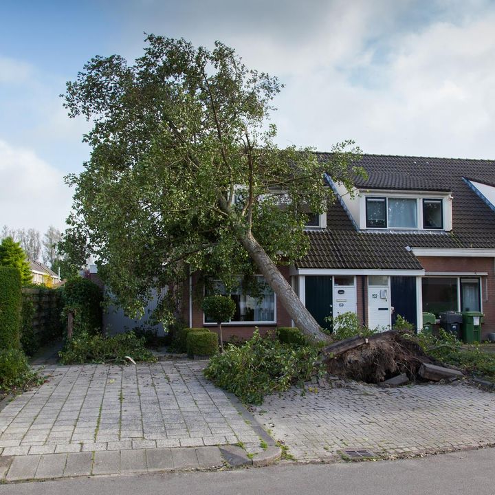 GF Forsikring er klar til at hjælpe de medlemmer, der har fået en skade efter stormen Floriane. Tirsdag formiddag har selskabet modtaget omkring 100 skadeanmeldelser. (Arkivfoto: GF Forsikring)