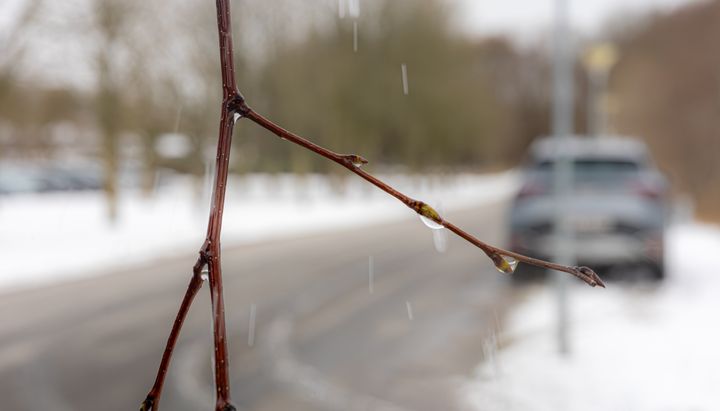 Med udsigt til tøvejr i weekenden stiger risikoen for skader på huset. GF Forsikring giver gode råd til at forebygge skader efter uger med sne og hård frost. (Foto: GF Forsikring/Anders Boe)