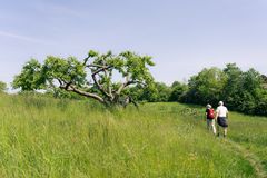 - En stor del af befolkningen er meget langt fra at bevæge sig det anbefalede antal minutter hver dag. Mange bevæger sig kun få minutter dagligt, og vi ved, at små ændringer i hverdagen kan gøre en forskel. Derfor er der behov for indsatser, der gør det lettere at komme i gang - også for dem, der ikke kan se sig selv i et fitnesscenter, siger Hanne Munk Scheller, chefkonsulent i Hjerteforeningen.