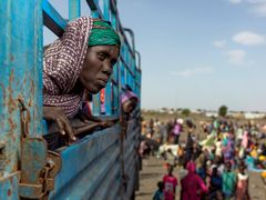 Den humanitære situation i Sudan er katastrofal, efter at byen El Fasher er blevet belejret af Rapid Supprt forces (RSF). 260.000 mennesker er fanget i byen og over 1.350 meldes dræbt.