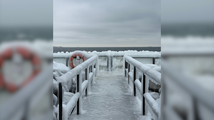 Udsigten fra Skagen 10. februar 2026. Langt fra normale vintertilstande... Foto: Susanne Munk.