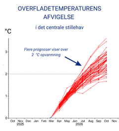 Graf der viser flere prognosers bud på overfladetemperaturen i det centrale Stillehav. Flere prognoser peger på en kraftig El Nino - altså over 2 grader varmere end normalt.