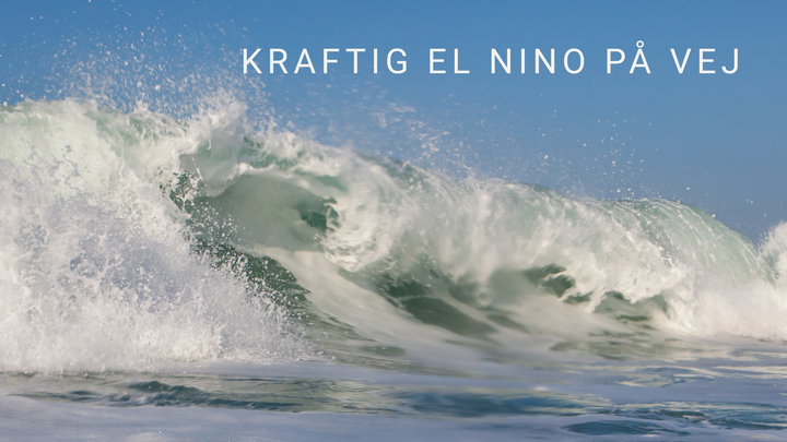 Et billede af en bølge samt teksten: Kraftig El Niño på vej