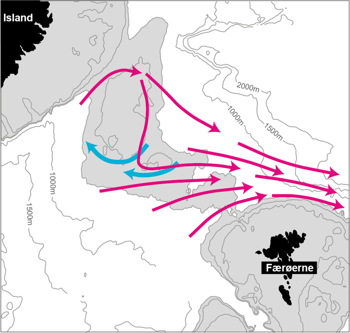 Grafik viser den undersøiske bjergryg mellem Island og Færøerne og hhv. varme og kolde havstrømme.