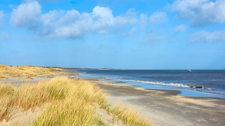 Ozonlaget er et usynligt lag, langt ude i atmosfæren, men ikke desto mindre uundværligt for livet på jorden.