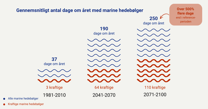 Mod slutningen af århundredet vil der blive flere dage med marine hedebølger end dage uden.
