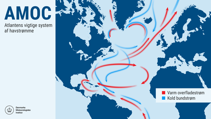 AMOC er et stort system af havstrømme i Atlanterhavet, som bidrager til det milde klima i Vesteuropa og Norden. Strømmene følges tæt af forskere verden over med både observationer og modeller for at undersøge, hvordan global opvarmning påvirker deres styrke. DMI