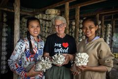 Når du handler i Wefood, går overskuddet til at bekæmpe sult i verdens fattigste lande gennem Folkekirkens Nødhjælps arbejde. Her ses et svampe-projekt for unge kvinder i Cambodja.
