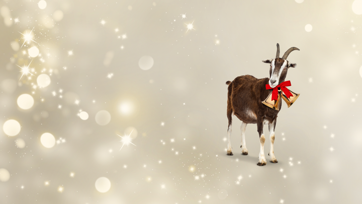 En af landets mest kendte velgørenhedsgaver er geden, som man via Folkekirkens Nødhjælp kan give til en familie, der lever i fattigdom i Nepal eller Malawi