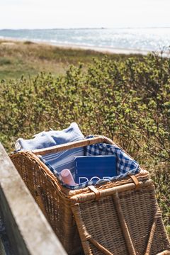 Picnickurv fundet i genbrug - og vi har også masser af gode bøger til sommerlæsningen.