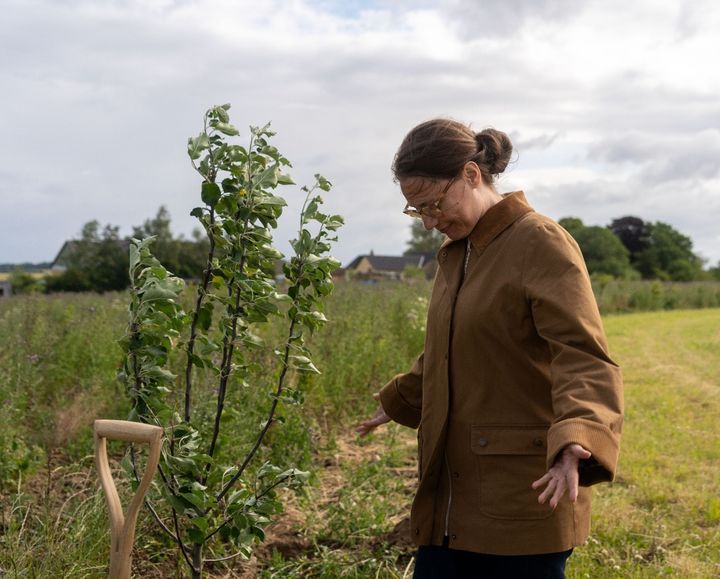 I juni sidste år plantede nuværende overborgmester Sisse Marie Welling nogle af de første træer på vegne af København i Lejre Kommune sammen med daværende overborgmester Lars Weiss. Siden er der landet to yderligere aftaler om skovrejsning, senest i december.