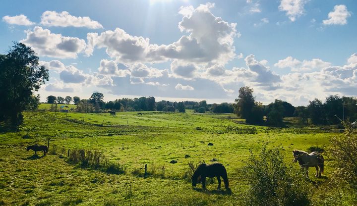 Furesø Kommune inviterer lokale lodsejere til møde om grøn trepart