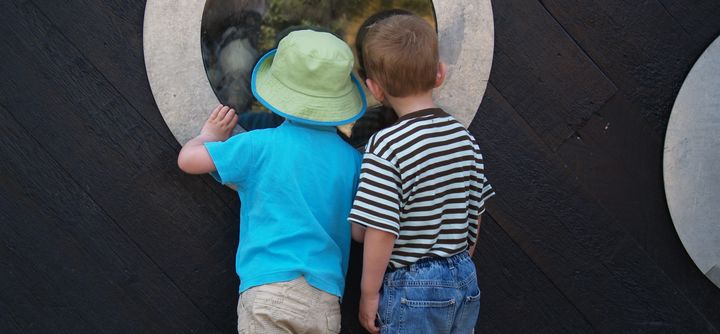 Humlehaven bliver en del af Stavnsholt Børnehus. Det betyder, at Humlehavens børn og medarbejdere forbliver i deres vante rammer og fysiske, pædagogiske læringsmiljø.
