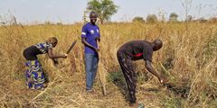 Arbejdsgruppen af småbønder har været udholdende i at kultivere en afgrøde, der ikke før har været dyrket i deres hjemegn. De kan med rette kalde sig pionerer. De nye risdyrkere kalder sig ’Maiwut Rice Farm Foundation’.