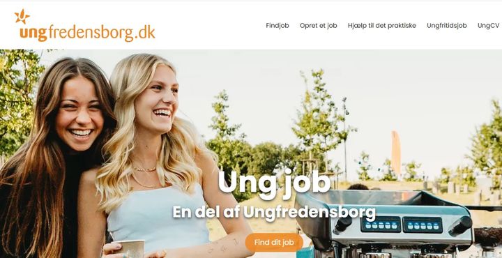 Skærmbillede af jobportalen