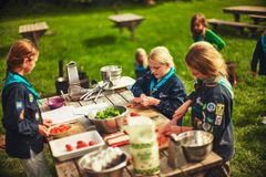 Det Danske Spejderkorps udgiver 8. april en ny grøntsagsbaseret kogebog til børn og unge.