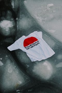 Support Greenland t-shirt