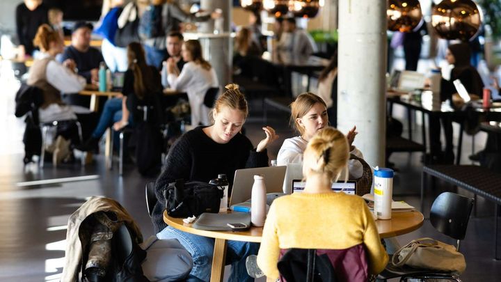 Studerende, Københavns Professionshøjskole