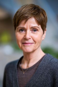 dekan for læreruddannelse og livslang læring på Københavns Professionshøjskole.
