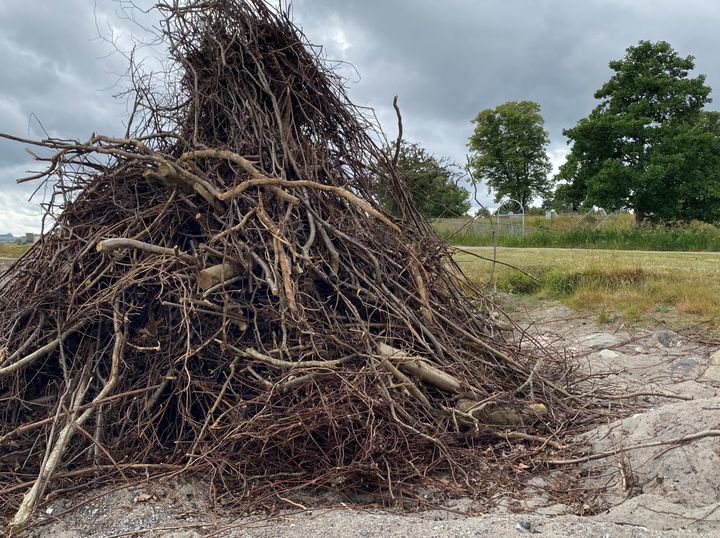 Foto: Danmarks Naturfredningsforening