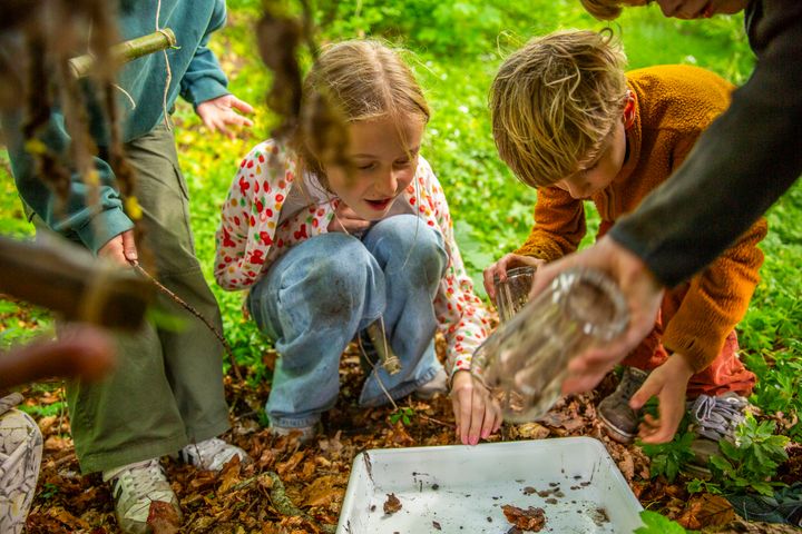 Over 160.000 børn er tilmeldt Naturens Uge, der starter mandag d. 31. august. Foto: Ditte Valente