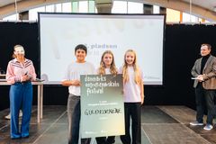 3. pladsen i Projekt Edisons landsfinale i Vejle, Team Guldhornene