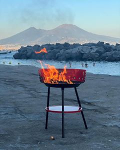 Fotos fra barndommen gik op i flammer, da Ornella nåede ankomstdestinationen Napoli