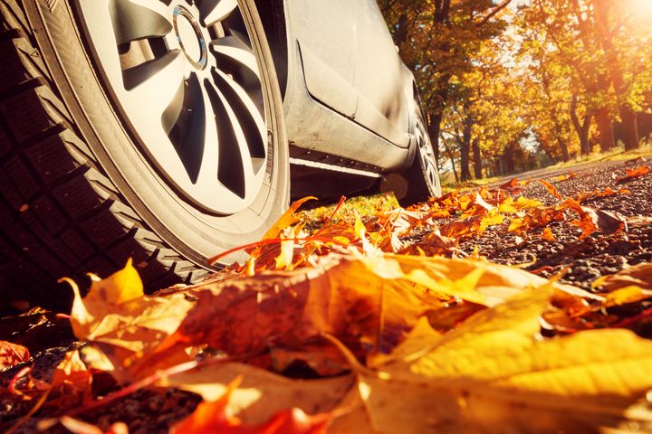 Efterårs- og vintermånederne er hårde ved din bil. Foto: Shutterstock