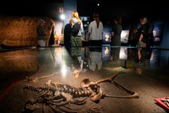 En guidet tur på Vikingemuseet i Aarhus C byder bl.a. på det hovedløse skelet.