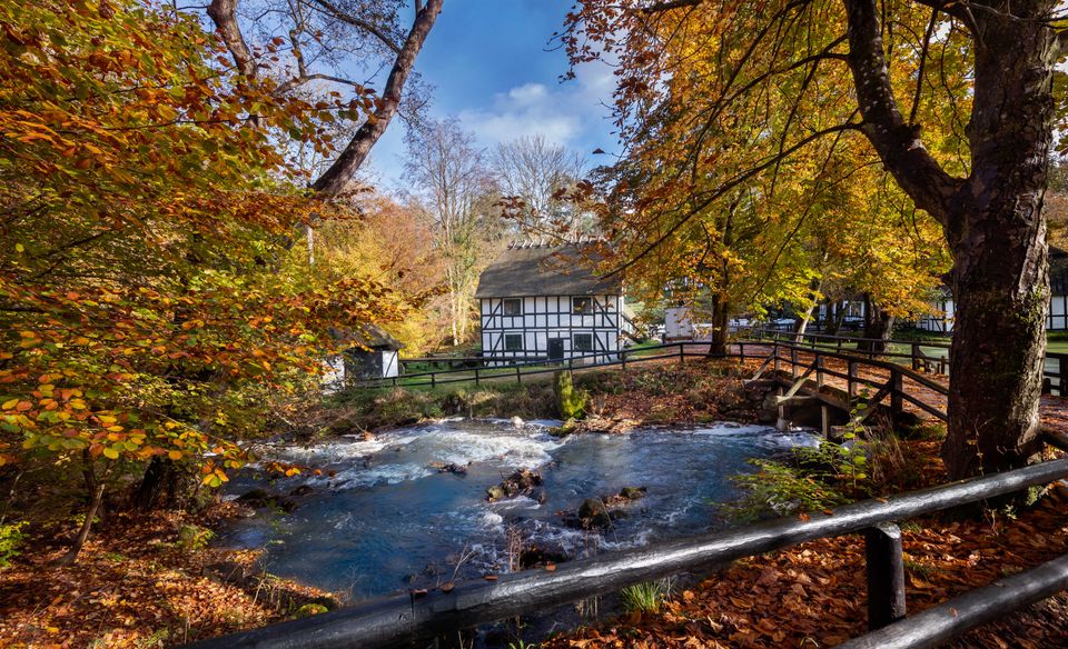 Moesgaard Skovmølle genåbner efter stor renovering | Moesgaard Museum