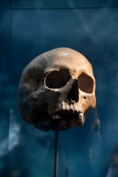 Overalt, hvor der har været keltere i forhistoriens Europa, dukker afhuggede   hoveder op – i kunsten, i arkæologien, i græsk-romerske forfatteres beretninger og i de keltiske fortællinger. Det menes, at hovederne bærer den dræbte fjendes styrke.