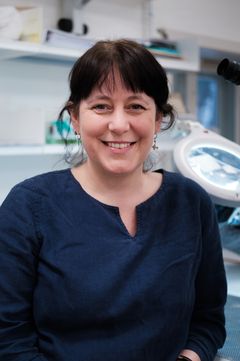 Anna Tjelldén, Konservator, Ph.D.