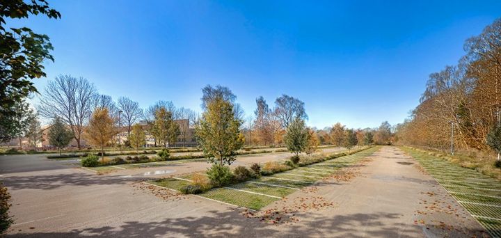 Nuværende fladeparkering lang Herlufsholmskoven, hvor der vil blive tilføjet 300 midlertidige parkeringspladser.