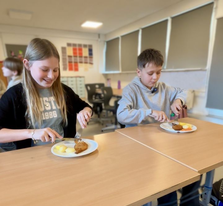 Malucca Valentin-Andersen  og Malthe Egholm fra 5. klasse på Vesterlandsskolen, afdeling Fuglebjerg spiser fiskefilet med kartofler, gulerødder og citron- og dildsauce. Menuen for en uge lyder på: tre dage med vegetarret, en dag med fisk og en dag med kød.