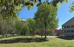 Illustration af den urbane park. Illustration: Udviklingsselskabet Rådmandshaven