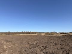 Torsdag den 23. april bliver de første træer sat i jorden i det nye, grønne område ”Vridsløse Nord”. Når træerne er plantet, laver Team Vand og Natur nye stier i dialog med lokalområdet. Forbindelser til centrale vandreruter – Glasruten og Sølvbæltet – er indtænkt.
