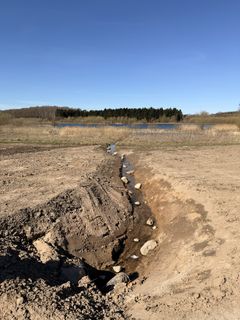 Projektledere fra Team Vand og Natur i Næstved Kommune har stået i spidsen for at genskabe det tidligere landskab, blandt andet ved at fjerne drænrør og genåbne vandløb.