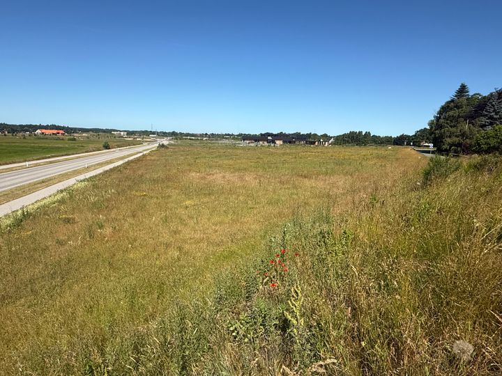 Det er her på arealet i Stenlængegaardområdet, at der nu åbnes for udbud med mulighed for opførsel af friplejehjem og boliger. Foto: Næstved Kommune