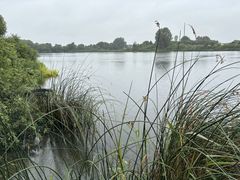 En undervandsrobot vil i oktober støvsuge søbunden i Snesere Sø. Det skal forbedre søens tilstand, mindske risikoen for alger og skabe bedre levevilkår for planter og dyr. Interesserede borgere kan komme på infotur "Søen rundt" den 16. september.