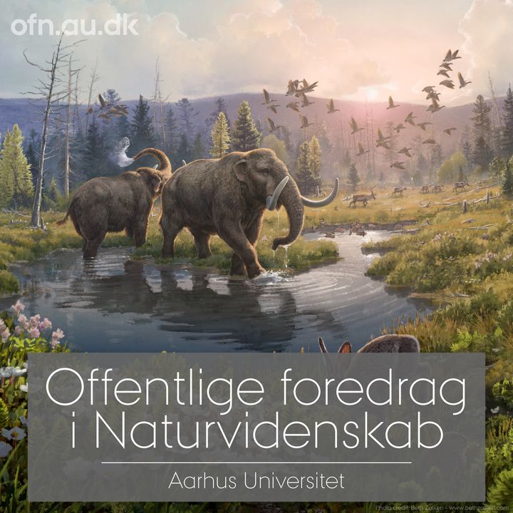 De naturvidenskabelige foredrag trækker hver gang mange interesserede deltagere