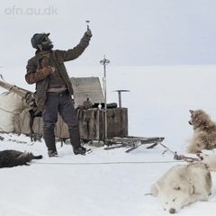 Tirsdag d. 11. marts fortæller Vivi K. Pedersen og Kristian Hvidtfelt om udforskningen af Grønland.