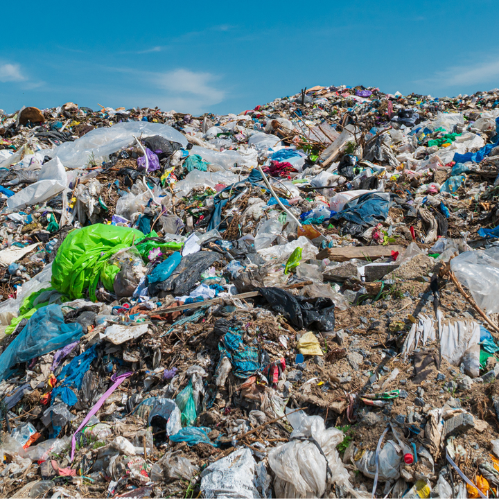 Plastikforureningen vil blive ved med at stige, hvis ikke produktionen bliver begrænset, lyder det i åbent brev.