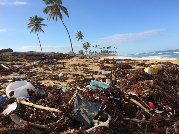 Plastikforurening er ikke bare henkastet affald, men viser sig også som mikroplastik, kemikalier og CO2-udledninger, der altsammen påvirker jorden.